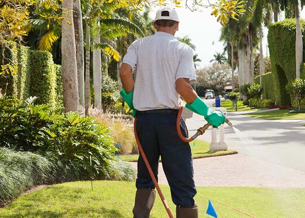 About North Java NY Pest Control